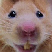 Avatar for b_o_r_o_d_a