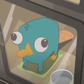PerryPlat17 的头像