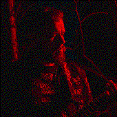 1f91_1.jpg