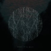 Dance in the Maze