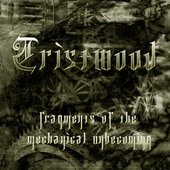 Fragments Of The Mechanical Unbecoming