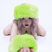 ko aka koala
