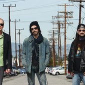 The Winery Dogs