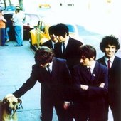 los bunkers y un perro