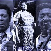 BB King - Big Mama Thornton - Muddy Waters 2