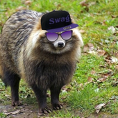 DumbTanukii 的头像