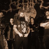 Feral