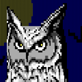 LastFM profile picture for @duke