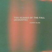 Too Scared of the Fall (Acoustic Version) - Single