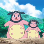 moomasterq 的头像
