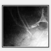 Avatar for Informatik