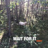 Wait for it