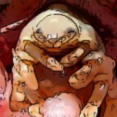 Avatar de CymothoaExigua