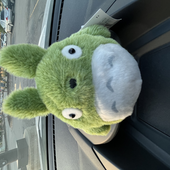 country_toads0 的头像