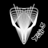 Duk-S 的头像