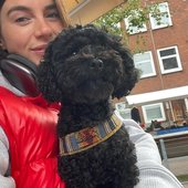 Maan met mijn hond
