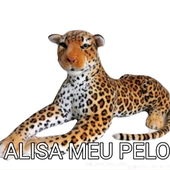 Avatar for alisameupelo4