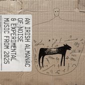 An Irish Almanac of Noise and Experimental Music From 2025