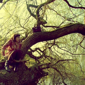 Avatar for Ya_el