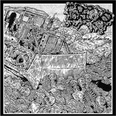 Biological Extinction