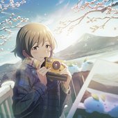 新年を告げる曙光.jpg