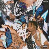 Carti Butterflies