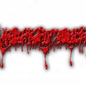 logo.jpg