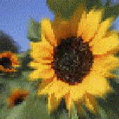 Avatar for justhinking