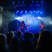 Lord Vapour at the Vale Earth Fair 2016