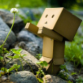 Avatar for kjetulf
