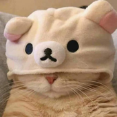 Avatar for flossydoa