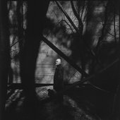 Rites of Fall  © Marcin Szpak