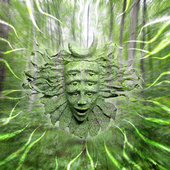 Avatar för Veryshpongled69