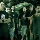 cadaveres 2008