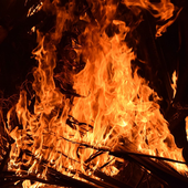 fire--vixen 的头像