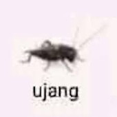 RhinzLoveTobrut 的头像
