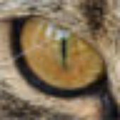 LastFM profile picture for @Elsener
