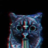 max_cat 的头像