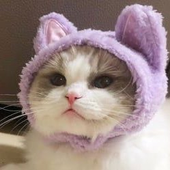 julcixxx 的头像