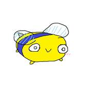 scaboash 的头像
