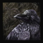 Avatar for Raven_Claw
