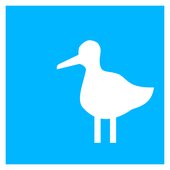 Nuclear Ducks In Tempelhof