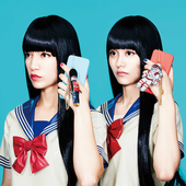 FEMM