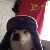 SnoopyMarxista 的头像