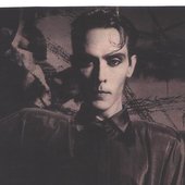 Peter Murphy