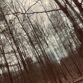 IMG_5510.jpeg