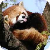 KenzoLKN 的头像