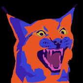 lyynxclub