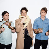 the wombats