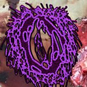 VxCxCxWxOxBxPx logo